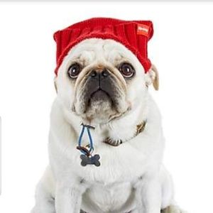 Reddy Red Slouchy Knit Doggie Beanie